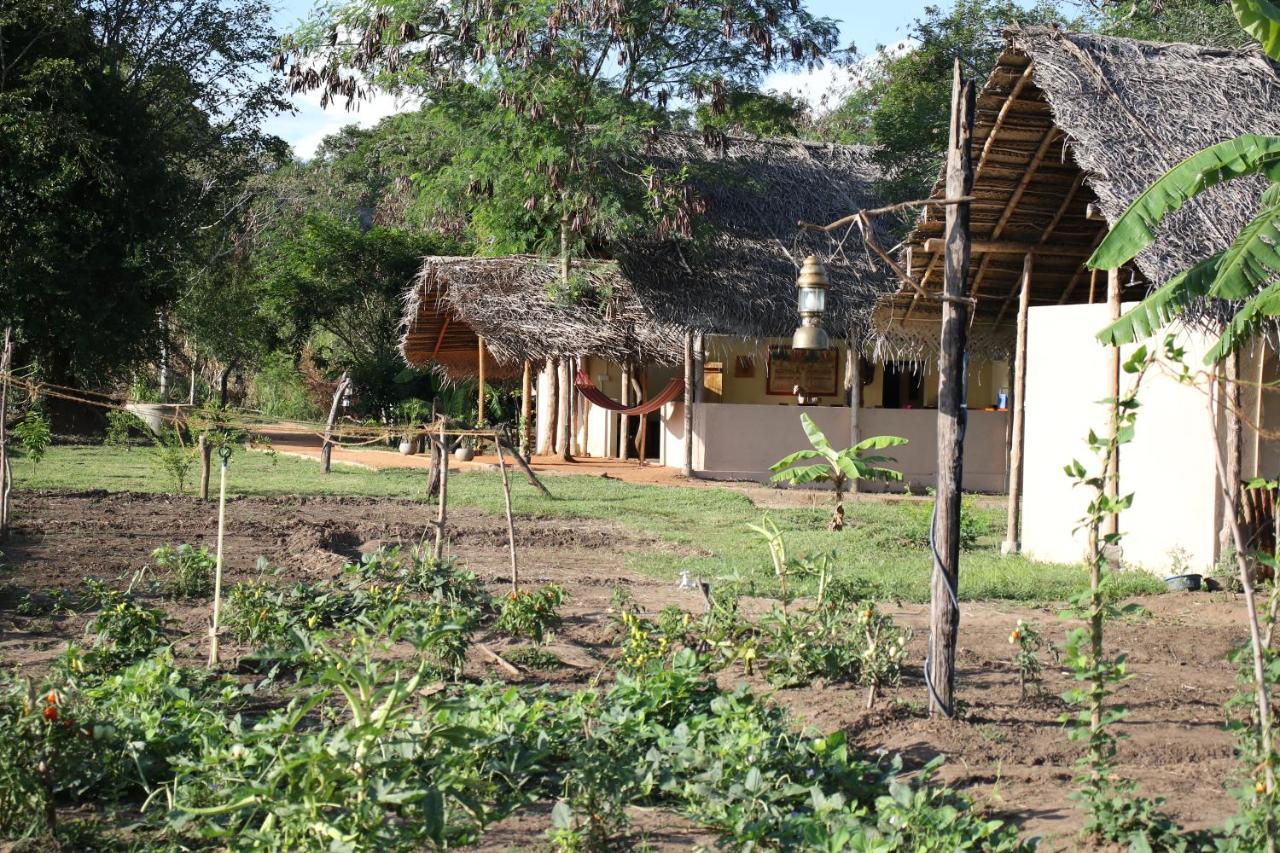 Nirvaan Safari Lodge Wilpattu Buitenkant foto