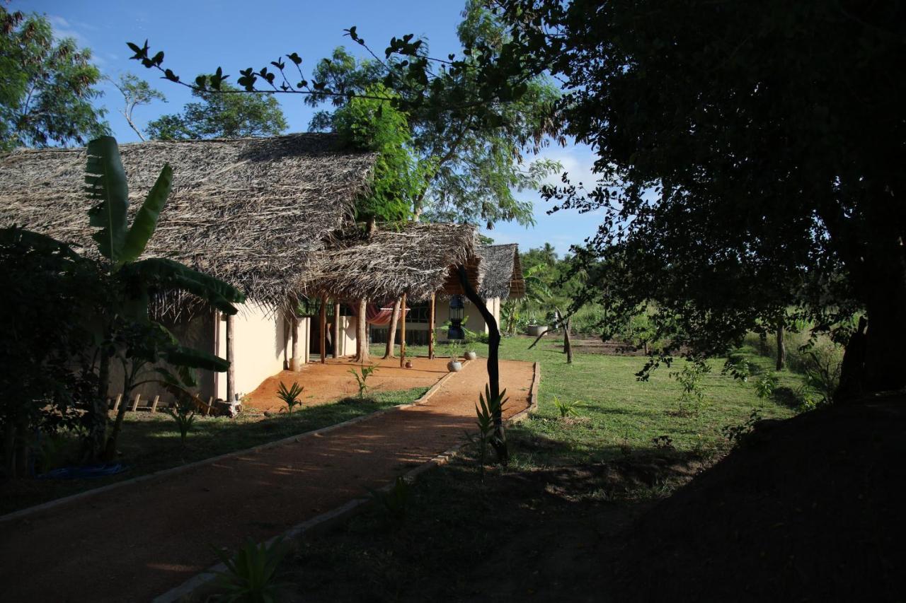 Nirvaan Safari Lodge Wilpattu Buitenkant foto