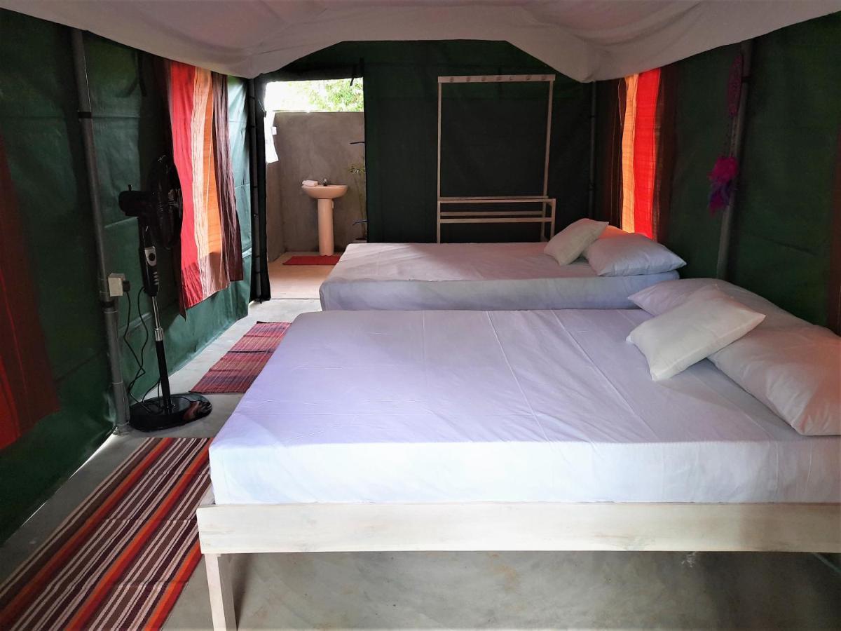 Nirvaan Safari Lodge Wilpattu Buitenkant foto