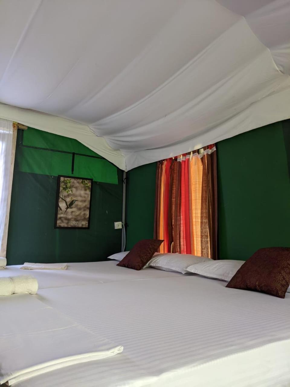 Nirvaan Safari Lodge Wilpattu Buitenkant foto