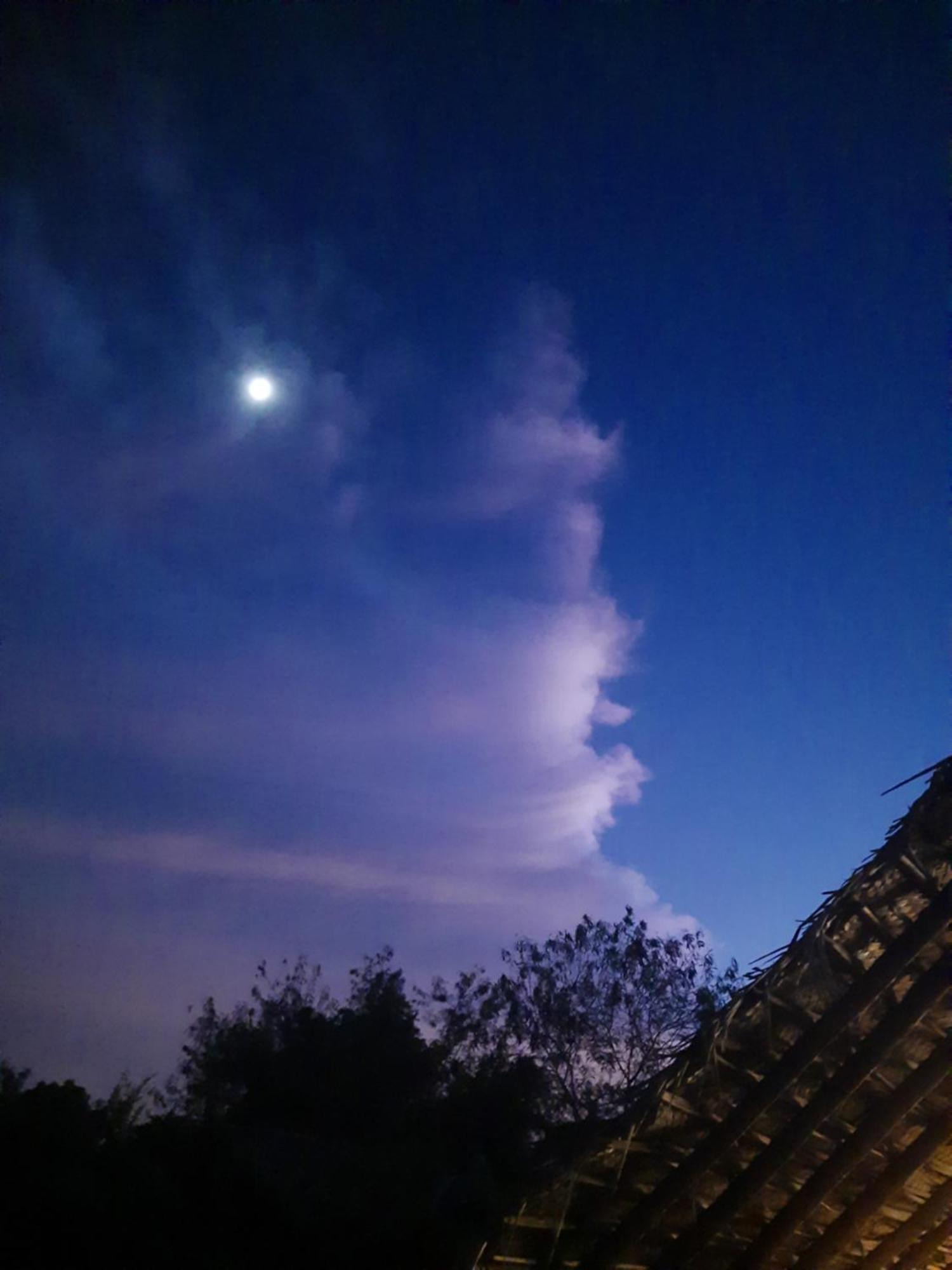 Nirvaan Safari Lodge Wilpattu Buitenkant foto