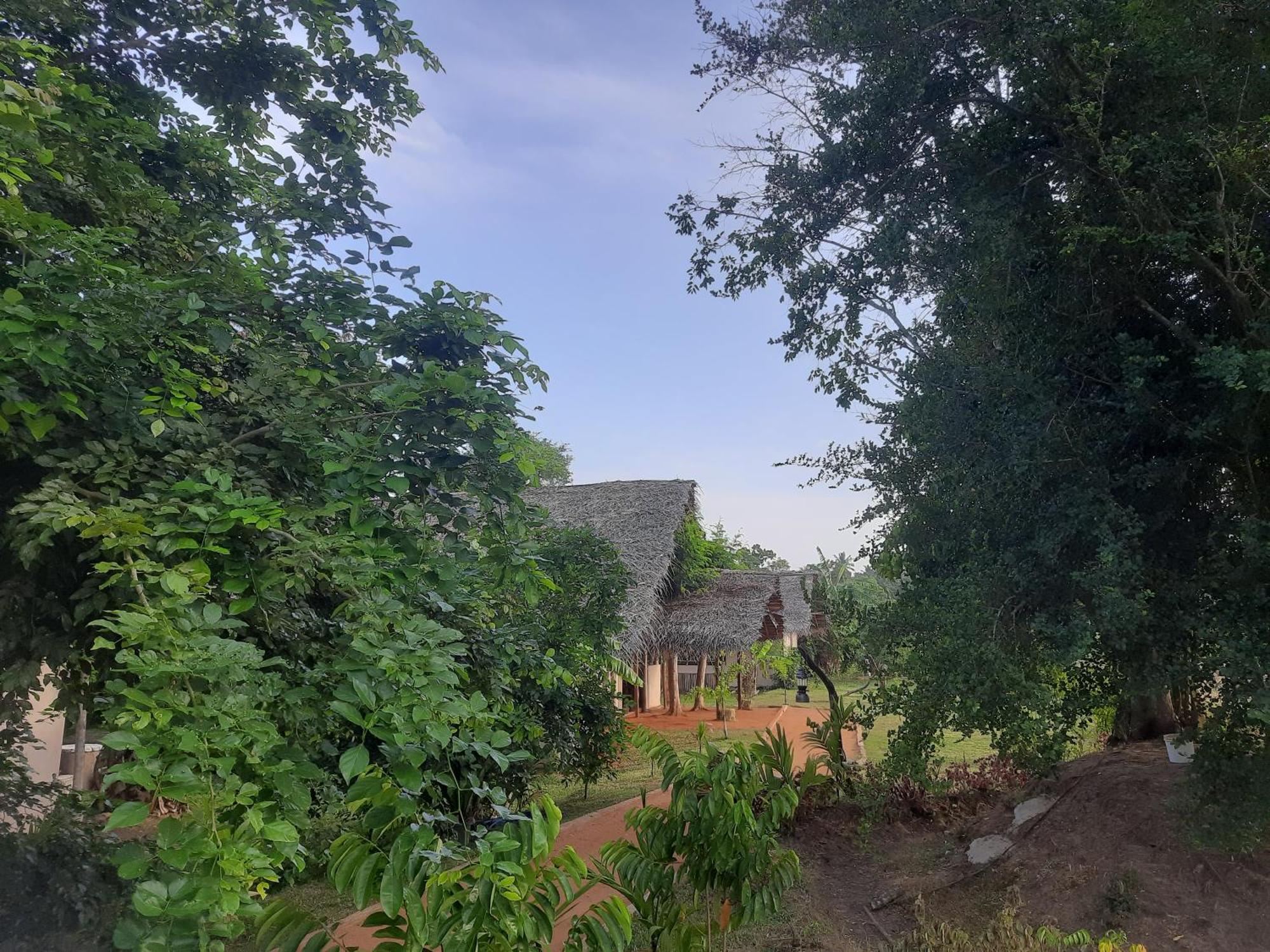 Nirvaan Safari Lodge Wilpattu Buitenkant foto