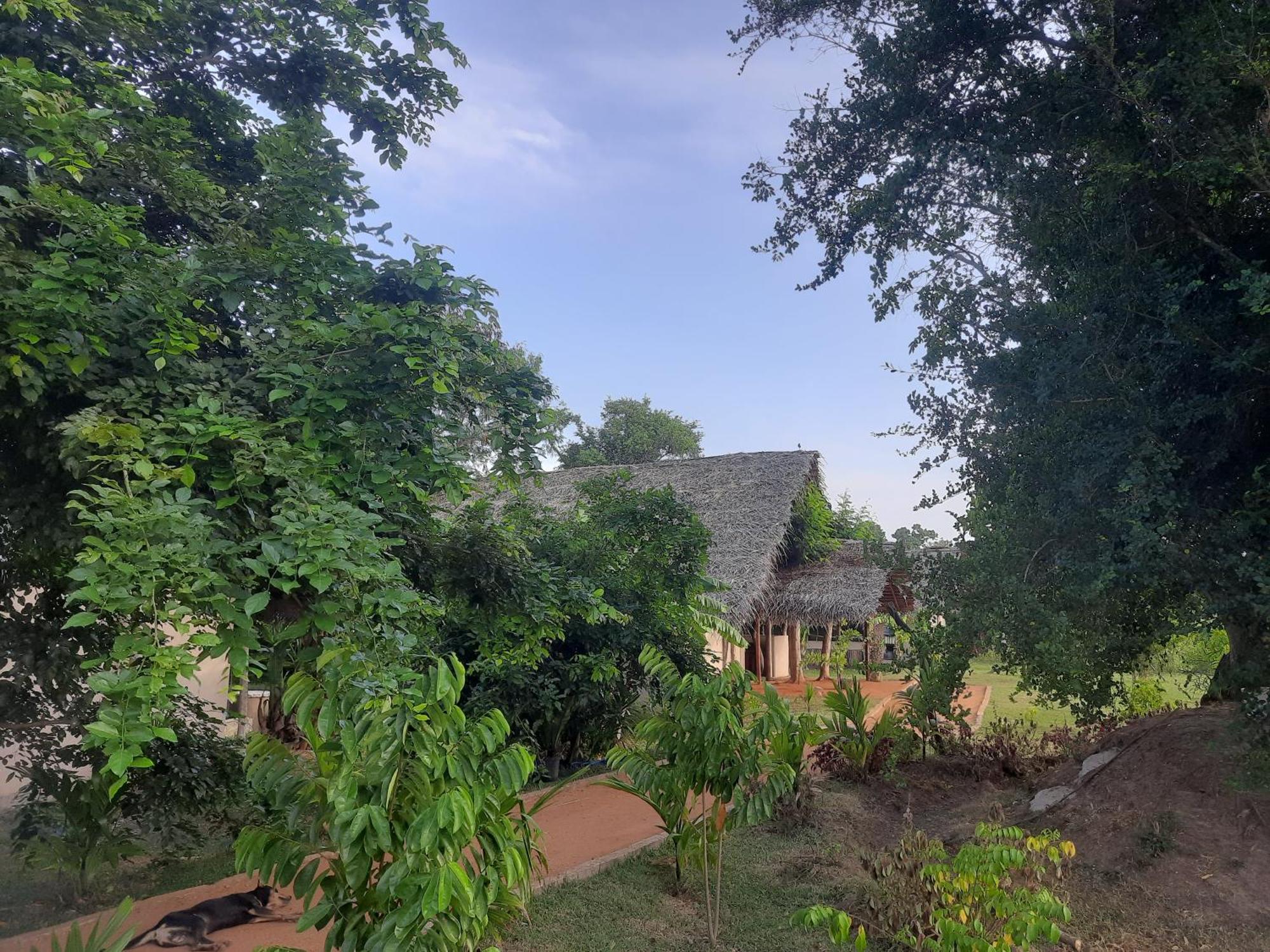 Nirvaan Safari Lodge Wilpattu Buitenkant foto